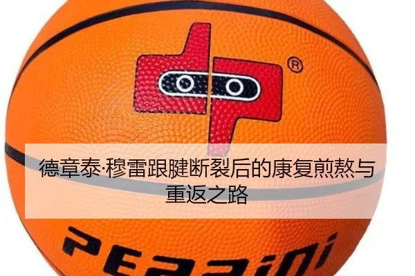 德章泰·穆雷跟腱断裂后的康复煎熬与重返之路